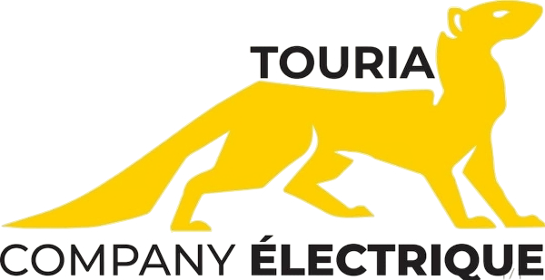 touriacompanyelectrique.com -
